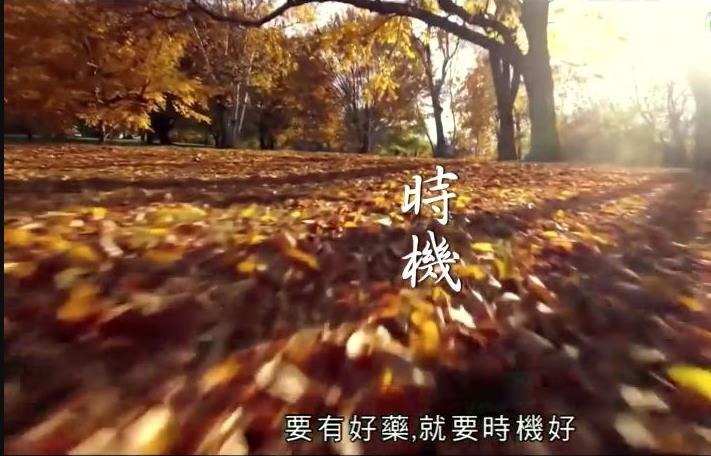 神奇百草游粵語(yǔ)